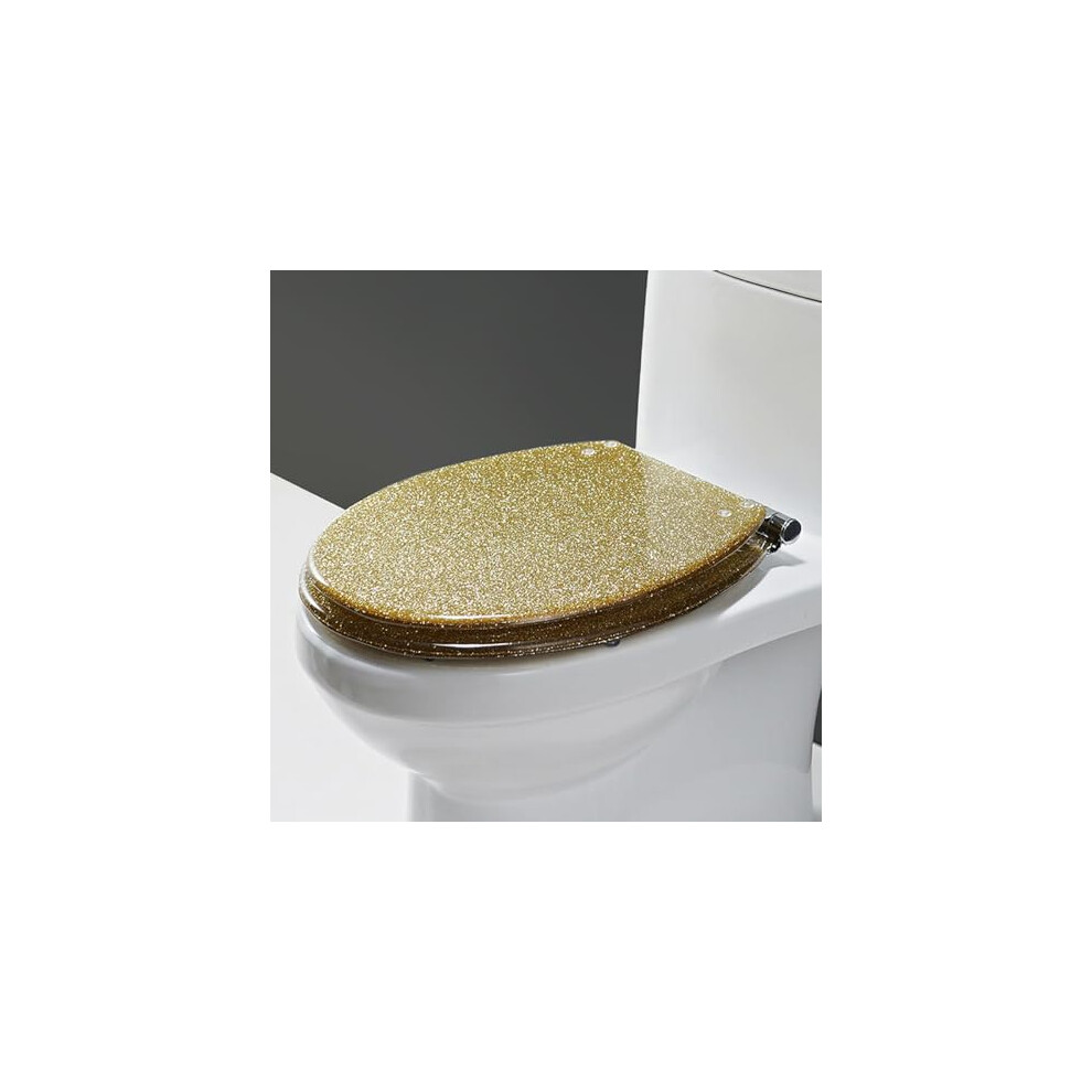 Round Resin Toilet Seat Glitter Lid Slow Close Fits Most Standard U, V, Or O Toilets Includes Fixing Hardware Silver 9393856146642