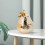 2Pcs Household Candy Container Decorative Jewelry Storage Case 11