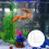 12 Pcs 8mm Aquarium Tank Plastic Clips Glass Cover Holders 11