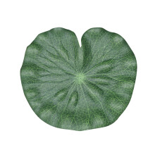 50 Pcs Artificial Lotus Leaves 15cm For Fish Tank Pond Decor