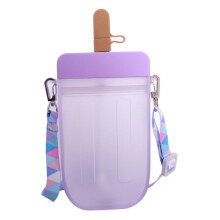 Leakproof Water Bottle Popsicle Cup with Lanyard for Adults Children