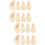 16 Pcs Protective Guzheng Practice Fake Nails For Beginners 7