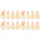 16 Pcs Protective Guzheng Practice Fake Nails For Beginners 2