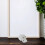 2Pcs White Mini Skull Model PVC for Teaching Decor and Halloween 11