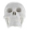 2Pcs White Mini Skull Model PVC for Teaching Decor and Halloween 3