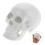 2Pcs White Mini Skull Model PVC for Teaching Decor and Halloween 10