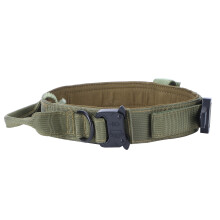 (Khaki) Nylon Dog Collar with Steel Buckle Green