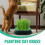 20 Pcs Household Cat Grass Planter Box For Growing Cat Grass 10