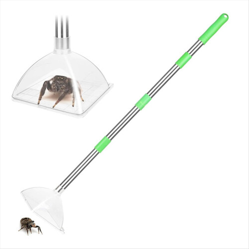 Atrapa arañas e insectos - Atrapa arañas ajustable de mango largo