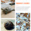 10 Pcs Aquatic Tortoise Turtle Shell Cleaning Brush 6