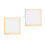 2Pcs Dried Flower Specimen Frame Diy Wooden Display 7