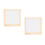 2Pcs Dried Flower Specimen Frame Diy Wooden Display 10
