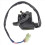 2 dragonnes gauche et droite pour manette Joy Pad 6