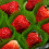 1000Pcs Cake Baking Cups Strawberry Oil-Proof Holders 10