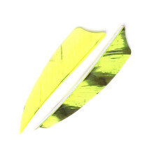 3 inch Turkey Feather For Archery Arrows Vane Fletching Yellow Right Wing 50 Pcs For Carbon Or Wooden Shafts