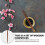 1 Set 5 Pairs Pointed Chopsticks Tableware 8