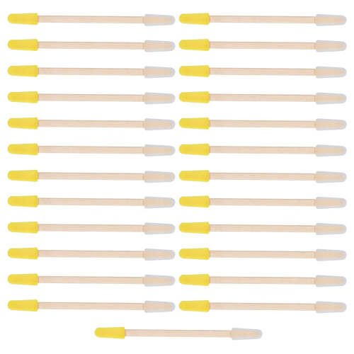 25PCS Beekeeping Double-Headed Bamboo Picking Pen Tool