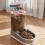 Pet Feeder Dog Water Dispenser Cat Automatic Feeder Drinking Flow System Gray 3