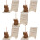 5 Sets Wedding Guest Book And Decorations For Ceremony Reception 10