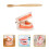 4 Sets Kids Teeth Care Educational Brushing Model 9