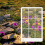 3 κομμάτια σκόπευτρων Fibonacci Σύνθεση View Finder 6