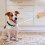 2pcs Pet Dog Training Stick Pet Training Puppy Training Tool 5