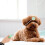 2pcs Pet Dog Training Stick Pet Training Puppy Training Tool 4