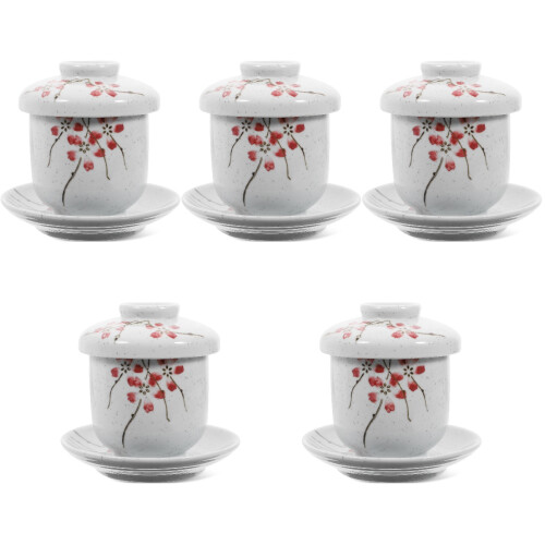 5 Sets Ceramic Japanese Stew Cup With Dish 2