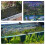1Set ABS Aquarium Roosterplaat Zwart Ter Visafscheiding Thuis 8
