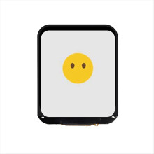 For AI Voice Chat Development Board with 1.69 In Touchscreen