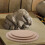 6Pcs Stackable Wood Pottery Plates for Clay Crafting 11