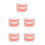 5Pcs Typodont Model For Kids Oral Teaching Tool 9