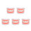 5Pcs Typodont Model For Kids Oral Teaching Tool 8