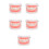 5Pcs Typodont Model For Kids Oral Teaching Tool 6