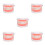 5Pcs Typodont Model For Kids Oral Teaching Tool 4