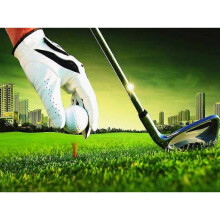KINZON 30 x 40 cm ,le golf Diamond Painting Broderie Diamant Peinture  Canevas 5d Tableau Enfant Adulte Strass Lot Puzzle Dessin Decoration Murale Cha