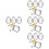 16 Pcs Heat-Resistant Glass Pudding Cups 6