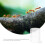 4Stk Acryl Ameisen Futterbox Klar Ameisennest Wassertrinker Set 10