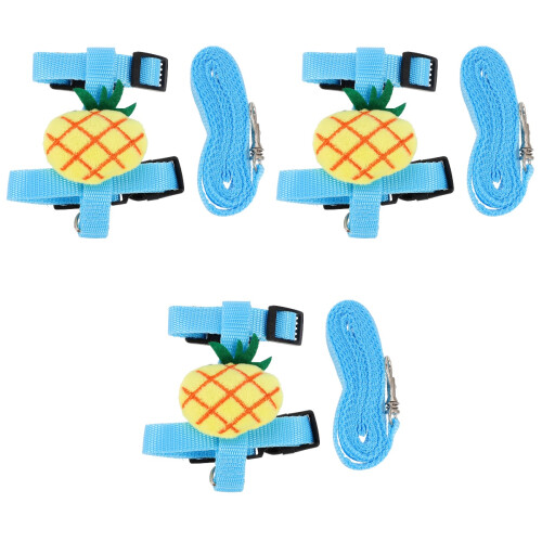 3 Sets Decorative Cat Harness And Leash Summer Kit 2