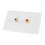 Multi Functional 2 RCA Wall Plate Panel 4