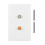 Multi Functional 2 RCA Wall Plate Panel 1