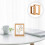 4 Pcs Double Sided Glass Picture Frame Specimen Clip 10