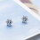 2Pcs Snowflake Ear Studs For Women Silver 11