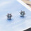 2Pcs Snowflake Ear Studs For Women Silver 9