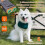 Bark Guard for Dogs,dog Bark Deterrent Device with Hd Display And Led Flashlight 4