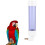 Distributeur D' Automatique Pour Oiseaux 7
