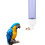 Distributeur D' Automatique Pour Oiseaux 9