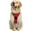 (45 65CM, Red) No-pull Dog Harness Padded Adjustable Pet Vest Harness For Large Dogs Training Or Walking 2
