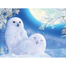 KINZON 30 x 40 cm ,hibou blanc Diamond Painting Broderie Diamant Peinture Canevas 5d Tableau Enfant Adulte Strass Lot Puzzle Dessin Decoration Murale