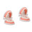 2 Pcs Model For Children Oral Education Tooth Training 4